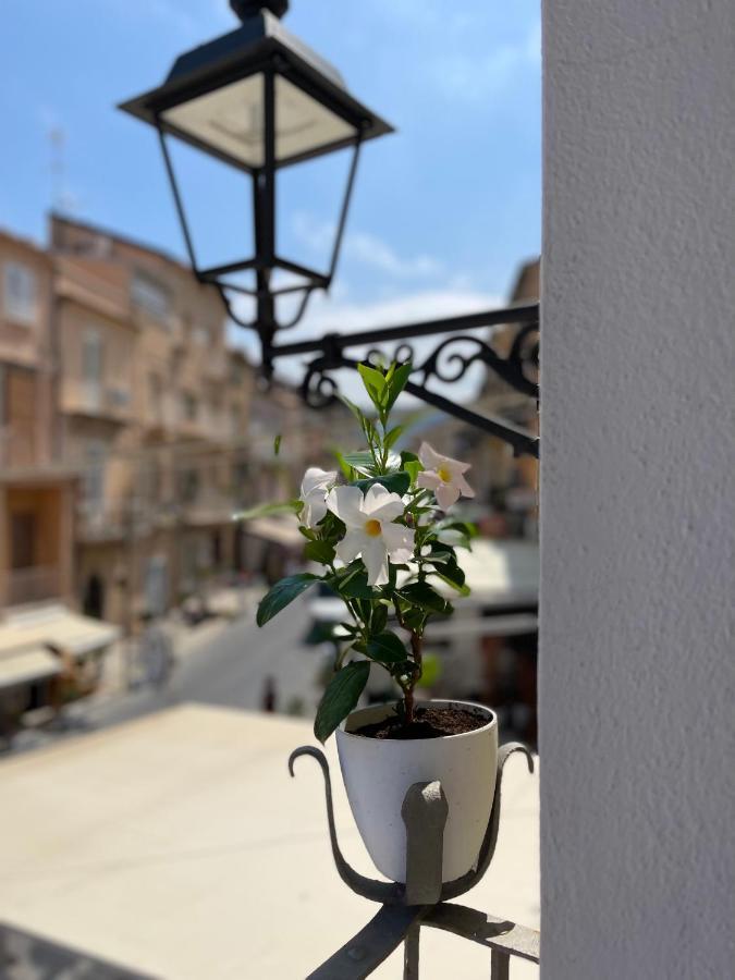 트로페아 Terrazzo Del Borgo B&B 외부 사진